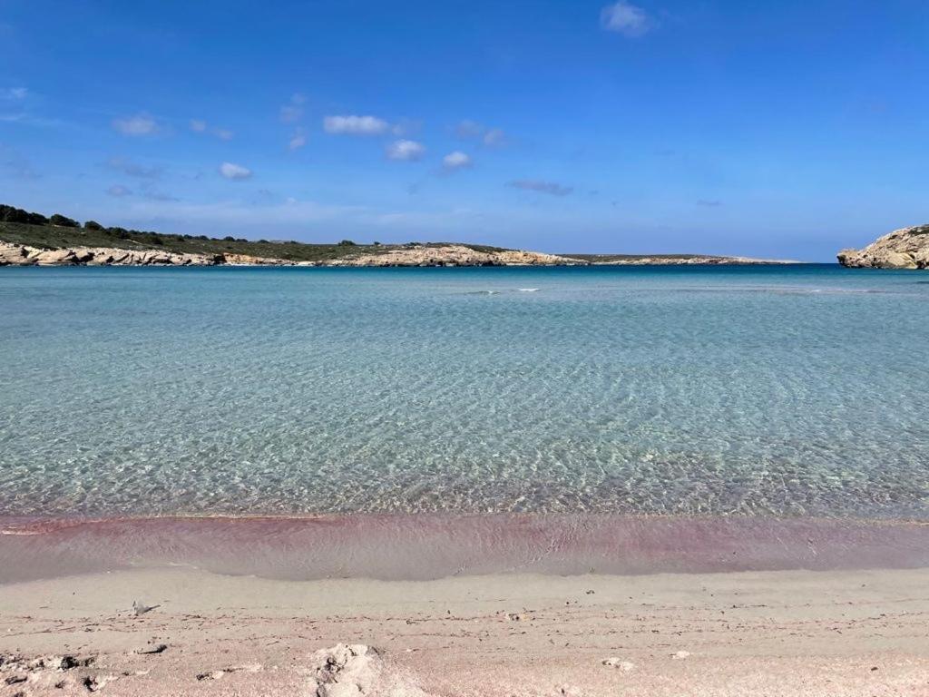 Apartamento Brisa De Menorca ソン・パルク エクステリア 写真